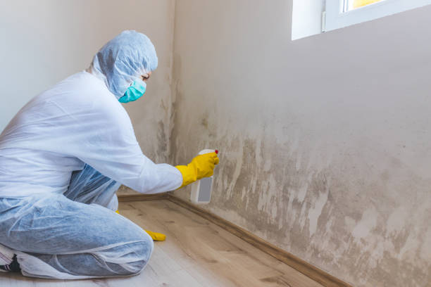 Licensed Hvac And Air Duct Mold Remediation service in Greensboro, NC - Mold Remediation HQ